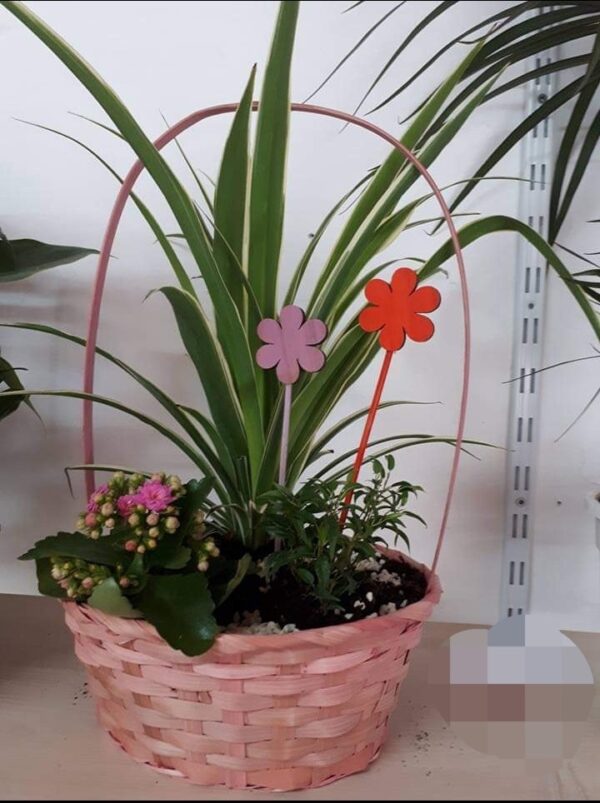 Centro decorativo con plantas naturales en cesta rosa